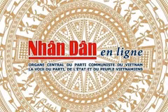 Sécheresse et El Niño : la production thaïlandaise de longanes et de litchis en net recul