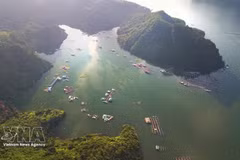 Avec ses eaux cristallines et ses paysages majestueux, le lac Hoa Binh est devenu une destination incontournable pour les visiteurs de la province de Phu Tho. Photo : VNA.