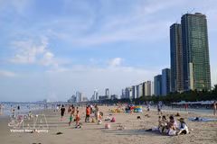 Selon les dernières données de Booking.com, Da Nang figure parmi les destinations les plus recherchées pour la période de juin à août. Photo: VNA