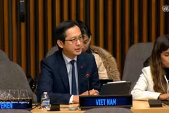 L’ambassadeur Do Hung Viet, chef de la Mission permanente du Vietnam auprès de l’ONU, s'exprime lors de la réunion. Photo : VNA.