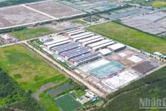 Vue d'un secteur du cluster industriel Gia Thuan 1 (commune de Gia Thuan, province de Dong Thap).