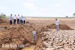 Un projet pilote à Dak Lak pour renforcer la résilience face aux risques climatiques
