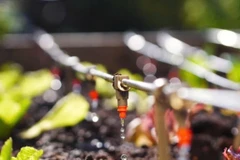 L’irrigation intelligente mise en avant face à la sécheresse croissante