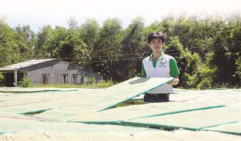 Duong Ngoc Anh et les nouilles à base de manioc Caromi. Duong Ngoc Anh et les nouilles à base de manioc Caromi.