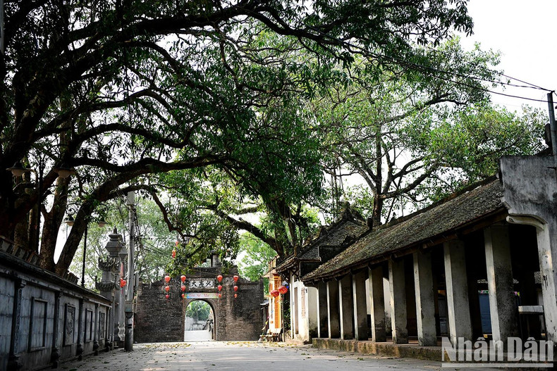 Près du portique d’entrée se trouve le marché du village. Niché sous la canopée de vieux arbres, ce marché est l’un des plus vieux endroits du village de Uoc Lê. La plupart des localités rurales au nord du Vietnam possèdent leur place de marché. Il est généralement appelé « chợ quê », littéralement « marché de campagne ». Les habitants y viennent pour acheter des aliments et produits de première nécessité. Ces marchés reflètent parfaitement le lien fort qui unit les villageois entre eux. On vient au marché pour acheter les victuailles du quotidien, mais également pour rencontrer du monde et s’enquérir des nouvelles. Photo : The Duong /NDEL Près du portique d’entrée se trouve le marché du village. Niché sous la canopée de vieux arbres, ce marché est l’un des plus vieux endroits du village de Uoc Lê. La plupart des localités rurales au nord du Vietnam possèdent leur place de marché. Il est généralement appelé « chợ quê », littéralement « marché de campagne ». Les habitants y viennent pour acheter des aliments et produits de première nécessité. Ces marchés reflètent parfaitement le lien fort qui unit les villageois entre eux. On vient au marché pour acheter les victuailles du quotidien, mais également pour rencontrer du monde et s’enquérir des nouvelles. Photo : The Duong /NDEL