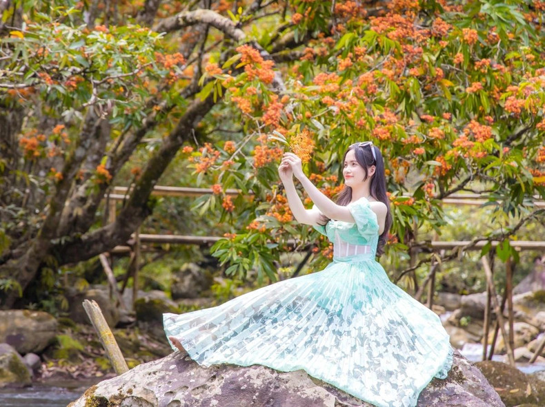 Le ruisseau Mooc est un joyau caché à Quang Binh, avec une beauté naturelle, un temps agréable et des activités passionnantes, ce qui en fait un endroit idéal pour les pique-niques entre amis ou en famille pour échapper à l’agitation de la vie quotidienne. Photo : VOV