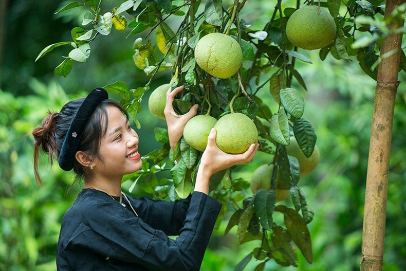 La tenue traditionnelle des filles Tày a comme couleur principale le noir, mettant en valeur leur jolie peau. Photo : Pham Ngoc Bang. La tenue traditionnelle des filles Tày a comme couleur principale le noir, mettant en valeur leur jolie peau. Photo : Pham Ngoc Bang.