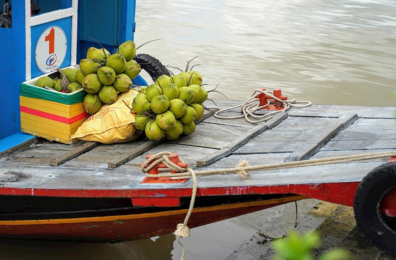 Noix de coco de Ben Tre. Photo : TasteAtlas. Noix de coco de Ben Tre. Photo : TasteAtlas.