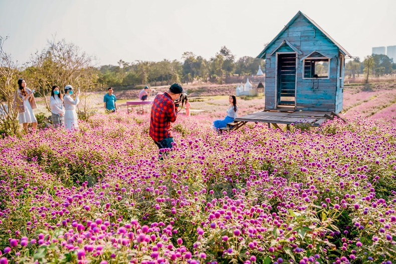 Femmes et jeunes filles, parées de leurs plus belles tuniques, flânent devant les fleurs violettes et attendent avec impatience leur tour d’être photographiées.