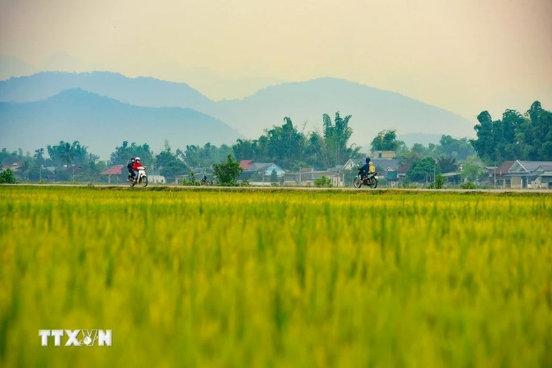 Scène paisible. (Photo : Xuan Tu/VNA)