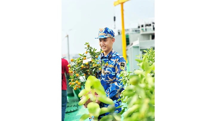 Des kumquats offerts par les autorités et habitants du district de Van Giang, province de Hung Yên (au Nord). Photo : NDEL. Des kumquats offerts par les autorités et habitants du district de Van Giang, province de Hung Yên (au Nord). Photo : NDEL.