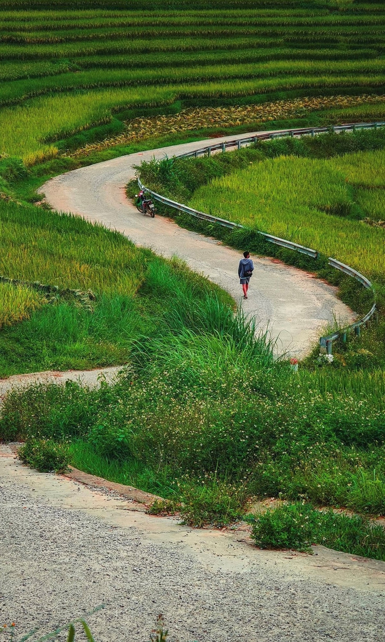 Les champs en terrasses sont assez proches les uns des autres. Les visiteurs peuvent louer des motos pour se déplacer ou marcher pour profiter de l'atmosphère et admirer le paysage pittoresque.