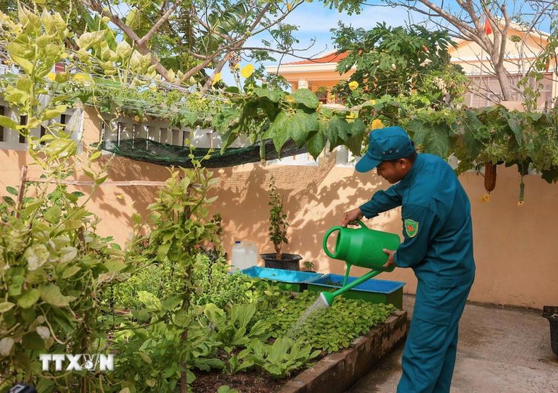 La couleur de la vie de la famille de Nguyen Thanh Long, l'une des 16 familles de l'île de Da Tay A. La couleur de la vie de la famille de Nguyen Thanh Long, l'une des 16 familles de l'île de Da Tay A.