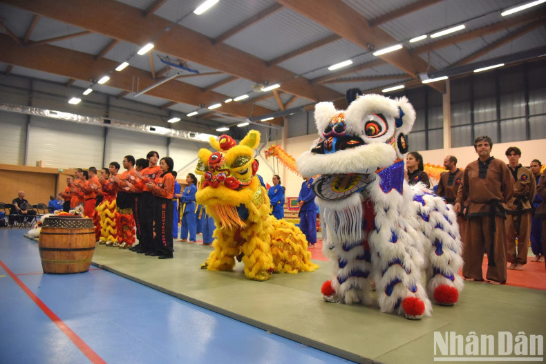 L’événement a vu la participation de plusieurs troupes de danse du lion et du dragon et de différentes sectes d’arts martiaux vietnamiens en France, telles que Vovinam-Việt Võ Đạo, Son Long Quyên Thuât ou Minh Long.