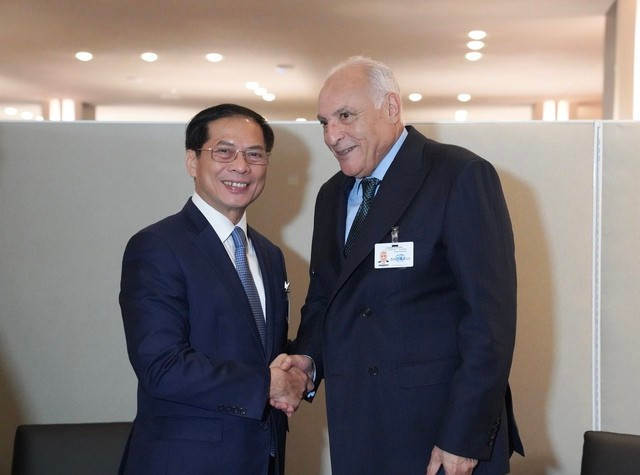 Le vice-Premier ministre et ministre des Affaires étrangères Bui Thanh Son et le ministre algérien des Affaires étrangères Ahmed Attaf. Photo : VNA Le vice-Premier ministre et ministre des Affaires étrangères Bui Thanh Son et le ministre algérien des Affaires étrangères Ahmed Attaf. Photo : VNA