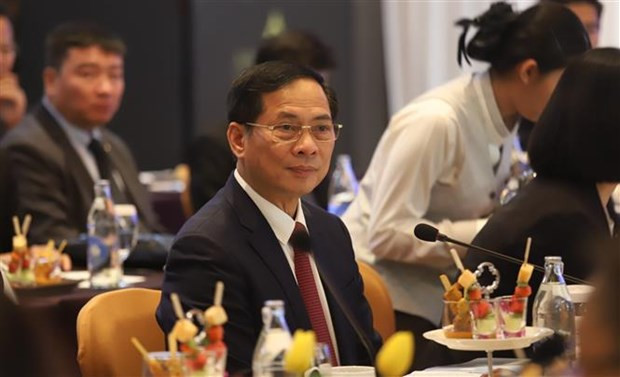 Le ministre vietnamien des Affaires étrangères, Bùi Thanh Son, lors de la 5e réunion de la Commission mixte sur la coopération bilatérale entre le Vietnam et la Thaïlande, à Bangkok, le 11 avril. Photo : VNA.