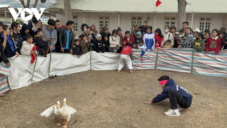 Les habitants et les touristes ont l'occasion de participer à des jeux traditionnels tels que la capture de canards avec les yeux bandés, le bris de pots en terre, les combats de coqs, etc. Photo : VOV Les habitants et les touristes ont l'occasion de participer à des jeux traditionnels tels que la capture de canards avec les yeux bandés, le bris de pots en terre, les combats de coqs, etc. Photo : VOV