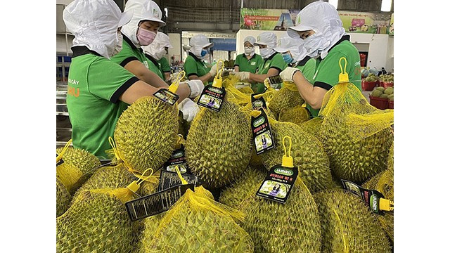 Le durian est l'un des produits d'exportation clés vers la Chine. Photo : congthuong.vn.