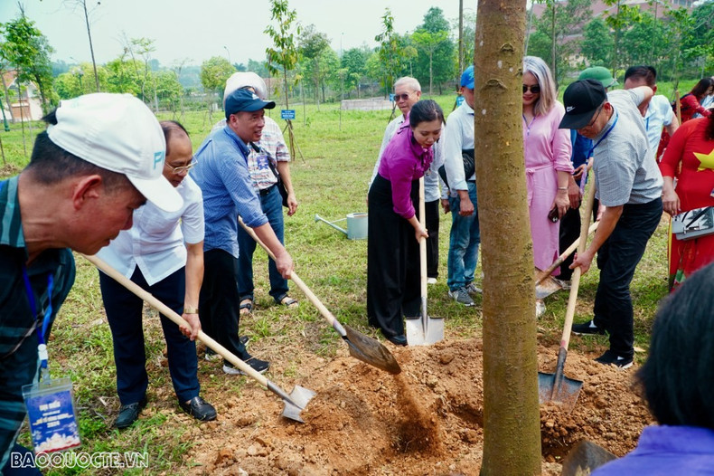 Après la cérémonie d'offrande d'encens, la délégation de Viêt kiêu a planté un arbre de souvenir dans la zone des reliques historiques du Temple des rois Hùng. Photo: baoquocte.vn.