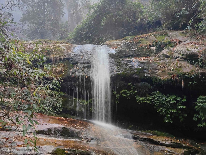 Les ruisseaux ici coulent assez fort et sont très glissants. Les ruisseaux ici coulent assez fort et sont très glissants.
