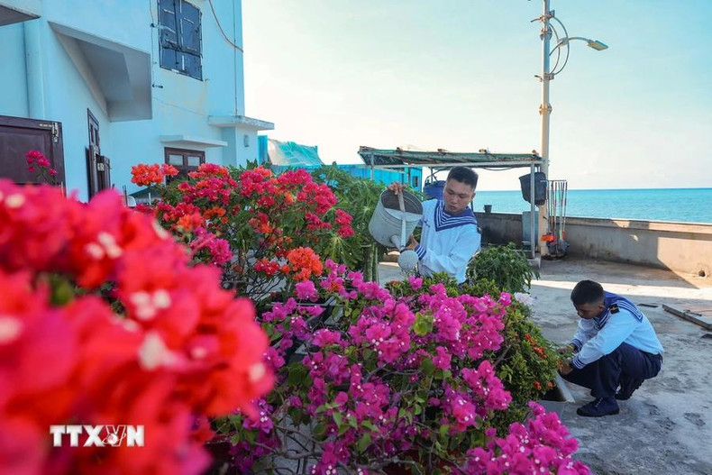 Les soldats insulaires de Da Thi prennent soin des arbres. Les soldats insulaires de Da Thi prennent soin des arbres.