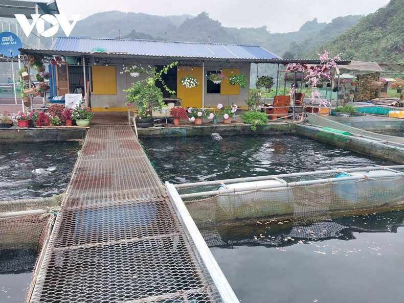 Le développement de la pisciculture en cage en combinaison avec le tourisme expérientiel offrira aux visiteurs des expériences uniques lors de leur voyage au lac Hoa Binh. Photo: VOV. Le développement de la pisciculture en cage en combinaison avec le tourisme expérientiel offrira aux visiteurs des expériences uniques lors de leur voyage au lac Hoa Binh. Photo: VOV.