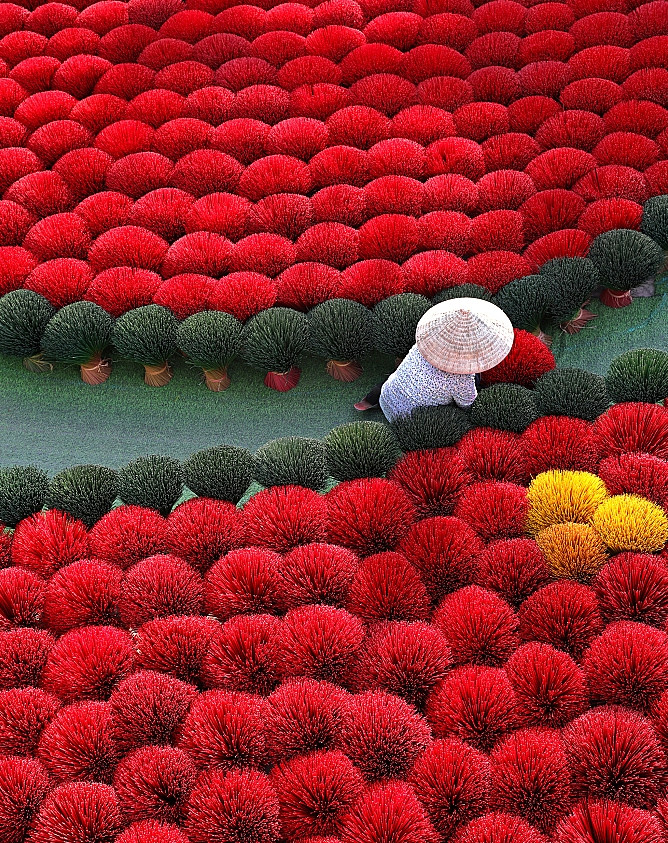 Ces dernières années, les villages artisanaux du Vietnam sont également apparus dans de nombreux journaux du monde entier tels que SCMP ou CCTV. Des gens emballent et font sécher des bâtons d'encens dans le village artisanal de Quang Phu Cau, l'un des villages de fabrication d'encens les plus célèbres de la périphérie de Hanoï. La photo a été prise par la Bangladaise Sabina Akter.