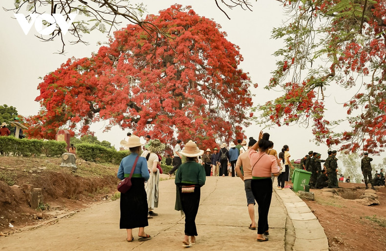 Le paysage de la ville de Diên Biên est encore plus beau avec les reflets rouges des flamboyants sur le ciel bleu clair. Photo: VOV. Le paysage de la ville de Diên Biên est encore plus beau avec les reflets rouges des flamboyants sur le ciel bleu clair. Photo: VOV.