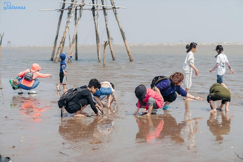 Pêche des palourdes. Pêche des palourdes.