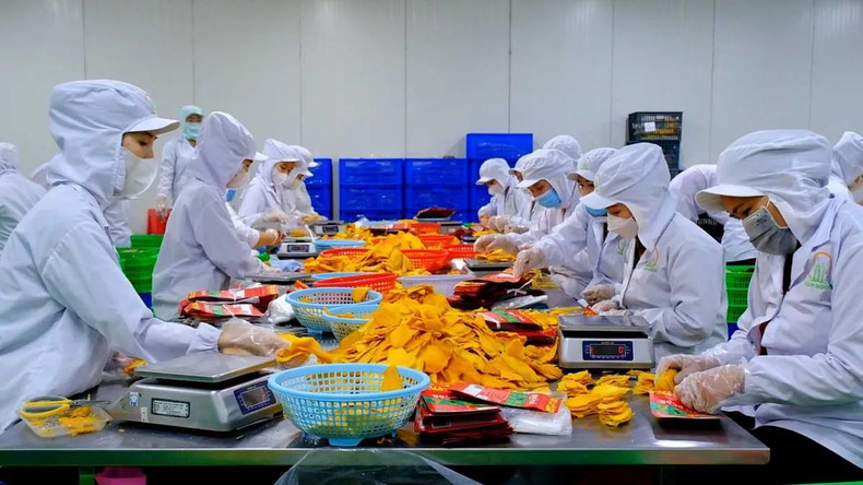 Pour augmenter la valeur ajoutée et améliorer la compétitivité de ses produits agricoles sur les marchés étrangers, le Vietnam doit se concentrer davantage sur l'investissement dans la transformation en profondeur. Photo : VTV