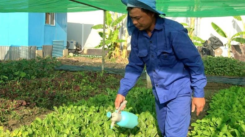 Au lieu des pesticides chimiques, les soldats vietnamiens ont utilisé des biopesticides, fabriqués à partir de substances d’origine naturelle, comme des écorces d’orange, des piments, des oignons et de l’ail, pour protéger les cultures de manière sûre, propre et respectueuse de l’environnement. Photo fournie par l’équipe de génie militaire No3 du Vietnam. Au lieu des pesticides chimiques, les soldats vietnamiens ont utilisé des biopesticides, fabriqués à partir de substances d’origine naturelle, comme des écorces d’orange, des piments, des oignons et de l’ail, pour protéger les cultures de manière sûre, propre et respectueuse de l’environnement. Photo fournie par l’équipe de génie militaire No3 du Vietnam.