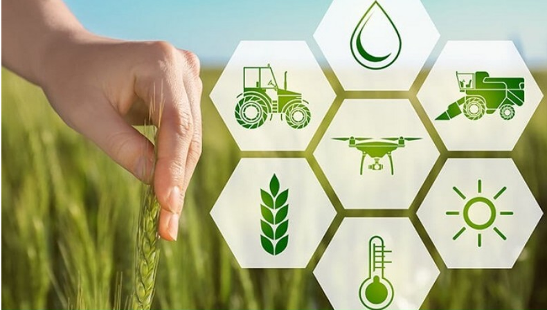 Les trois projets bénéficiant du financement australien cette fois-ci démontrent l'importance de promouvoir la coopération entre les écosystèmes d'innovation de l’Australie et du Vietnam dans le développement des avancées technologiques pour une agriculture durable. Les trois projets bénéficiant du financement australien cette fois-ci démontrent l'importance de promouvoir la coopération entre les écosystèmes d'innovation de l’Australie et du Vietnam dans le développement des avancées technologiques pour une agriculture durable.