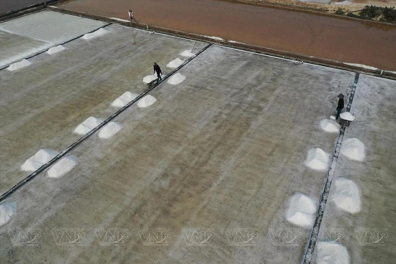 La production de sel à Ninh Thuan est principalement concentrée à Phuong Hai, Tri Hai, Nhon Hai dans le district de Ninh Hai, ainsi qu'à Ca Na, Phuoc Diem et Phuoc Minh dans le district de Thuan Nam. Photo : VNA. La production de sel à Ninh Thuan est principalement concentrée à Phuong Hai, Tri Hai, Nhon Hai dans le district de Ninh Hai, ainsi qu'à Ca Na, Phuoc Diem et Phuoc Minh dans le district de Thuan Nam. Photo : VNA.