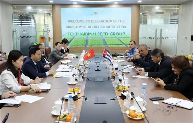 La séance de travail entre la mission du ministère cubain de l'Agriculture et le Comité populaire de la province de Thai Binh. Photo : VNA. La séance de travail entre la mission du ministère cubain de l'Agriculture et le Comité populaire de la province de Thai Binh. Photo : VNA.