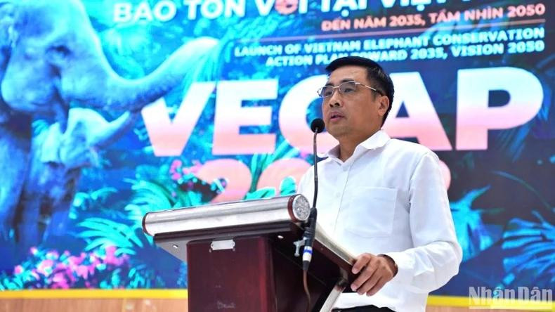 Selon le vice-ministre vietnamien de l'Agriculture et du Développement rural, Nguyen Quoc Tri, le Plan d’action national sur la conservation des éléphants d’ici 2035, avec une vision jusqu'en 2050, traduit l'engagement du Vietnam à mettre en œuvre une stratégie synergique pour promouvoir la culture et assurer l'avenir de cette espèce en voie de disparition. Photo : NDEL. Selon le vice-ministre vietnamien de l'Agriculture et du Développement rural, Nguyen Quoc Tri, le Plan d’action national sur la conservation des éléphants d’ici 2035, avec une vision jusqu'en 2050, traduit l'engagement du Vietnam à mettre en œuvre une stratégie synergique pour promouvoir la culture et assurer l'avenir de cette espèce en voie de disparition. Photo : NDEL.