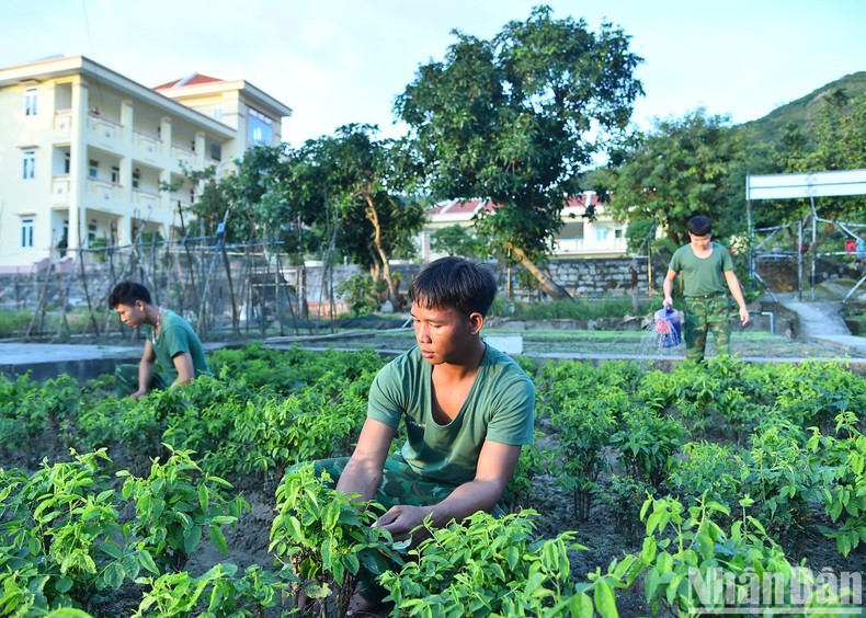 Pour ces officiers et soldats, l’île de Cù Lao Chàm est considérée comme une deuxième terre natale où chacun s’efforce de protéger le ciel et la mer sacrés de la Patrie, et d’être dignes des enseignements du Président Hô Chi Minh : « Autrefois, nous n’avions que la nuit et la forêt. Aujourd’hui, nous avons des jours, le soleil et la mer. Notre côte est longue et belle, il faut savoir la protéger ».