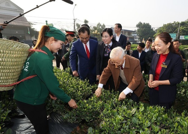 Le Secrétaire général Nguyên Phu Trong visite le jardin de thé de la coopérative Hao Dat, ville de Thai Nguyen, le 10 janvier 2023. Photo : VNA. Le Secrétaire général Nguyên Phu Trong visite le jardin de thé de la coopérative Hao Dat, ville de Thai Nguyen, le 10 janvier 2023. Photo : VNA.