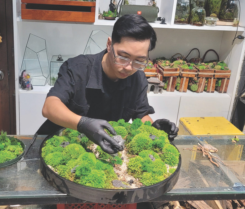 Hoàng Tuân Anh au travail. Hoàng Tuân Anh au travail.