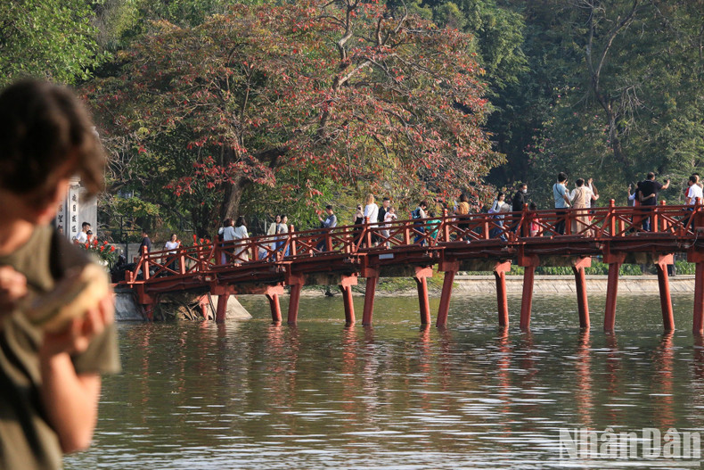 Dans l’après-midi du 1er janvier, dernier jour des vacances du Nouvel An 2024, de nombreuses personnes sont venues s’amuser et visiter la rue piétonne autour du lac Hoàn Kiêm. C’est une bonne occasion pour les familles de se réunir et de partager de bons souvenirs pour commencer une nouvelle année heureuse et prospère. Dans l’après-midi du 1er janvier, dernier jour des vacances du Nouvel An 2024, de nombreuses personnes sont venues s’amuser et visiter la rue piétonne autour du lac Hoàn Kiêm. C’est une bonne occasion pour les familles de se réunir et de partager de bons souvenirs pour commencer une nouvelle année heureuse et prospère.