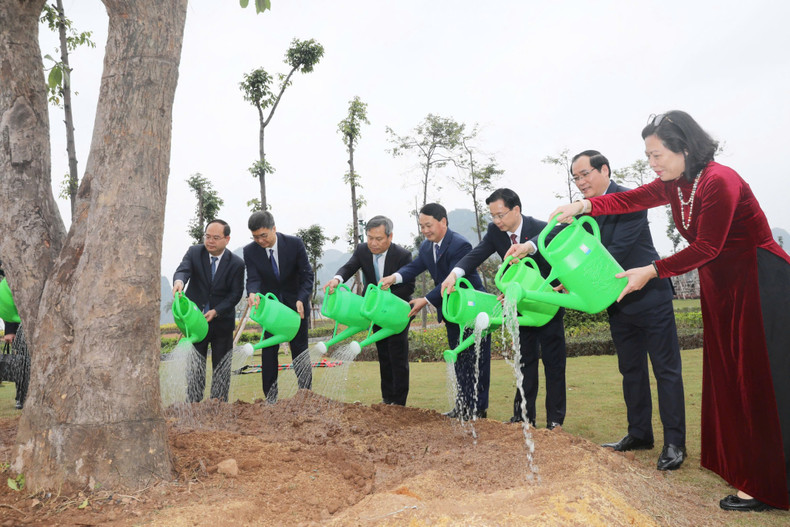Dans la culture vietnamienne, l’arbre de barringtonia est le symbole de chance, de succès et de développement durable. Avec cette signification, la barringtonia devient un témoignage des relations étroites entre le Vietnam et la Chine, et, plus particulièrement, celles entre les quatre provinces vietnamiennes (Quang Ninh, Lang Son, Cao Bang et Ha Giang) et la région autonome Zhuang du Guangxi. Photo: baoquangninh.vn. Dans la culture vietnamienne, l’arbre de barringtonia est le symbole de chance, de succès et de développement durable. Avec cette signification, la barringtonia devient un témoignage des relations étroites entre le Vietnam et la Chine, et, plus particulièrement, celles entre les quatre provinces vietnamiennes (Quang Ninh, Lang Son, Cao Bang et Ha Giang) et la région autonome Zhuang du Guangxi. Photo: baoquangninh.vn.
