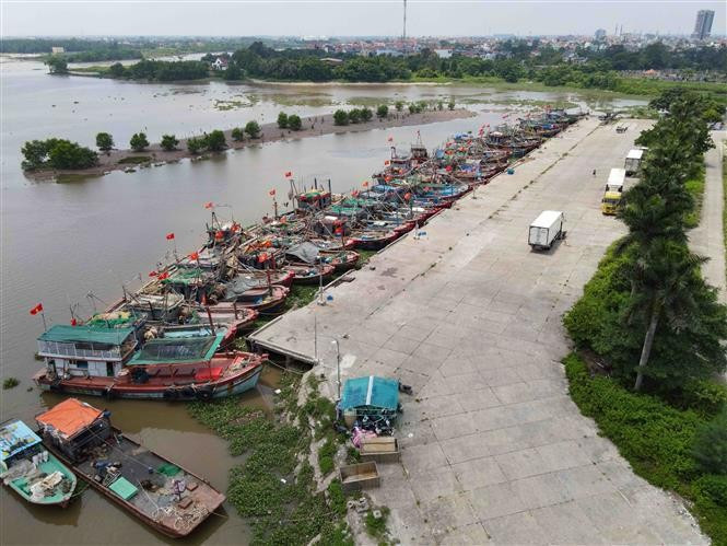 Bateaux ancrés pour se mettre à l'abri du typhon Yagi au port de pêche de Tân Son, dans le district de Thai Thuy, province de Thai Binh. Photo : VNA. Bateaux ancrés pour se mettre à l'abri du typhon Yagi au port de pêche de Tân Son, dans le district de Thai Thuy, province de Thai Binh. Photo : VNA.