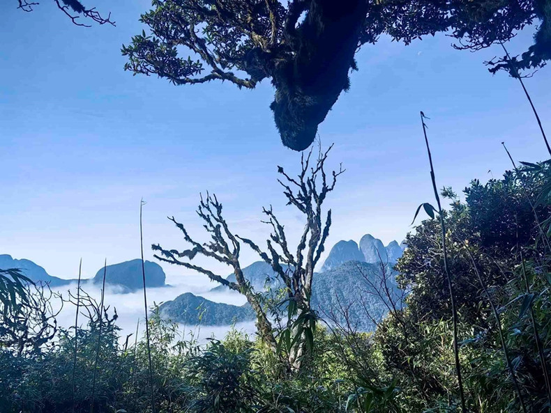 La meilleure période pour conquérir le Nam Kang Ho Tao va de février à fin mars et de septembre à fin décembre, lorsque le temps est sec et la température très agréable. La meilleure période pour conquérir le Nam Kang Ho Tao va de février à fin mars et de septembre à fin décembre, lorsque le temps est sec et la température très agréable.