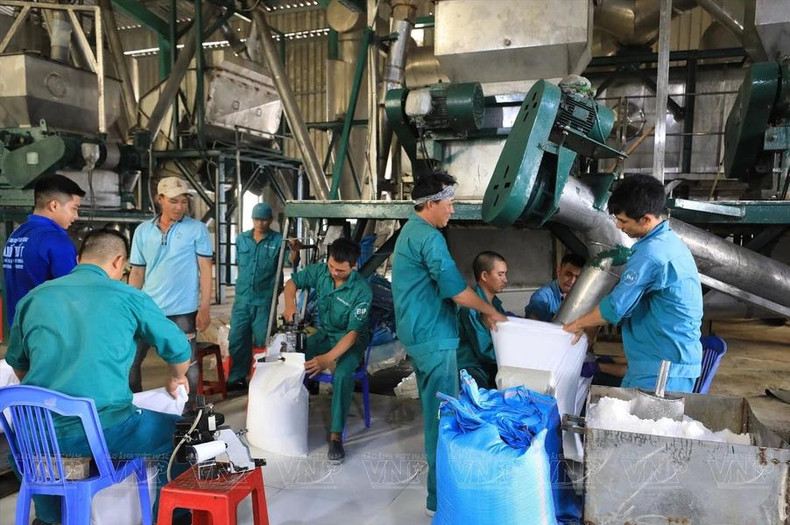 Des ouvriers de la zone de production de sel de Tri Hai emballent le sel pour la vente. Photo : VNA. Des ouvriers de la zone de production de sel de Tri Hai emballent le sel pour la vente. Photo : VNA.