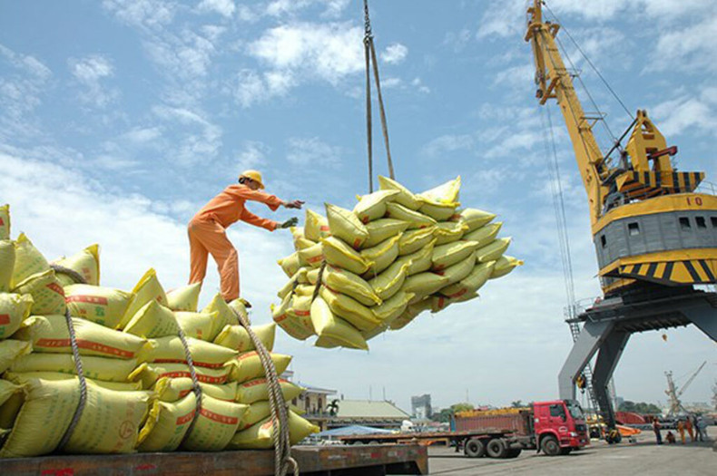 Cette année, les exportations vietnamiennes de riz sont estimées à 9 millions de tonnes de riz pour un chiffre d’affaires total de 5,7 milliards de dollars, soit un niveau record tant en termes de volume que et de valeur. Photo : VNA.