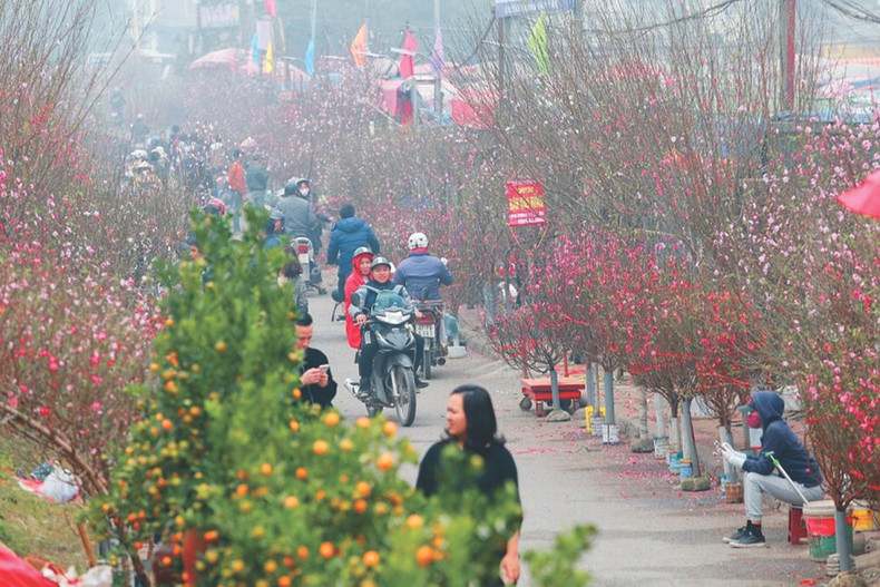 Une atmosphère joyeuse règne dans les marchés aux fleurs de la capitale. Photo: VNA.