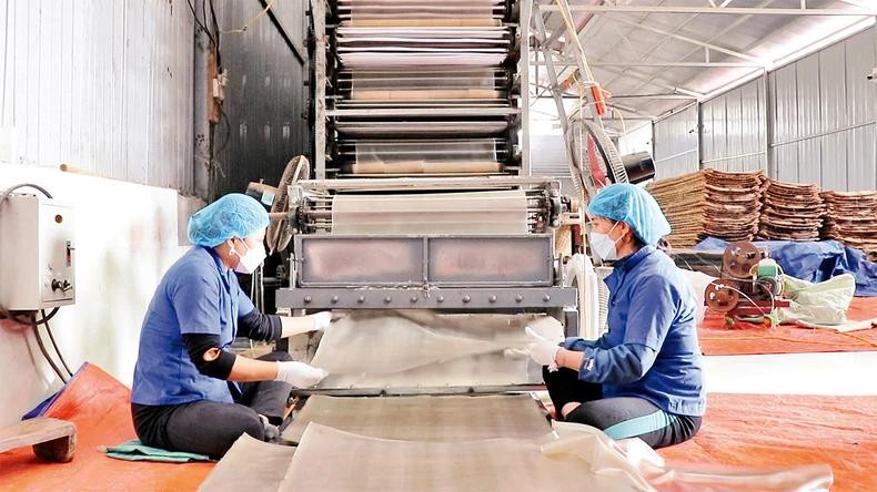 Grâce à la mise en service d’une chaîne fermée de production, la productivité annuelle des vermicelles dans le village de Con Minh a considérablement augmenté, avec un volume moyen de 1 000 tonnes de vermicelles, ce qui a permis de gagner environ 50 milliards de dôngs. Photo : NDEL. Grâce à la mise en service d’une chaîne fermée de production, la productivité annuelle des vermicelles dans le village de Con Minh a considérablement augmenté, avec un volume moyen de 1 000 tonnes de vermicelles, ce qui a permis de gagner environ 50 milliards de dôngs. Photo : NDEL.