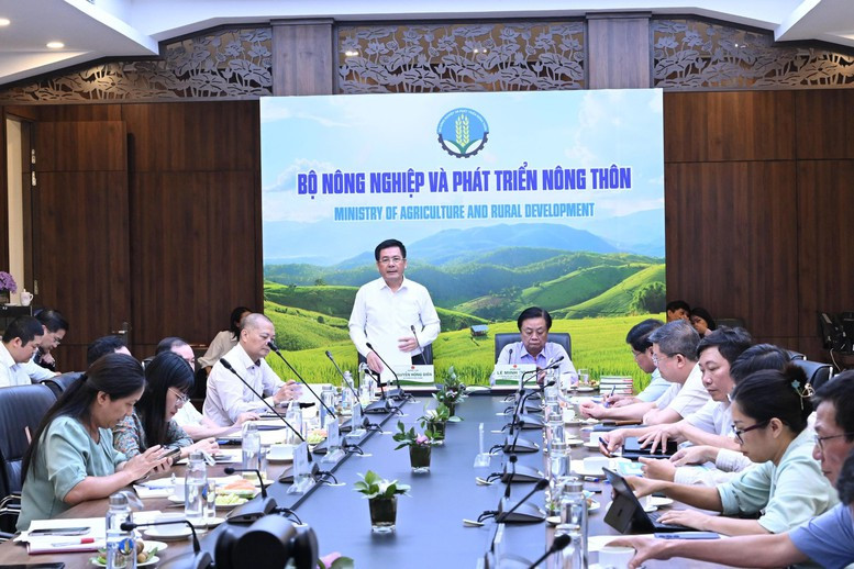 Réunion entre le ministère vietnamien de l'Industrie et du Commerce et celui de l'Agriculture et du Développement rural sur la nécessité de créer le Conseil national de la riziculture, le 6 août à Hanoi. Photo: baochinhphu.vn. Réunion entre le ministère vietnamien de l'Industrie et du Commerce et celui de l'Agriculture et du Développement rural sur la nécessité de créer le Conseil national de la riziculture, le 6 août à Hanoi. Photo: baochinhphu.vn.