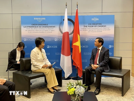 Le ministre des Affaires étrangères Bui Thanh Son rencontre homologue japonaise Kamikawa Yoko. Photo: VNA Le ministre des Affaires étrangères Bui Thanh Son rencontre homologue japonaise Kamikawa Yoko. Photo: VNA