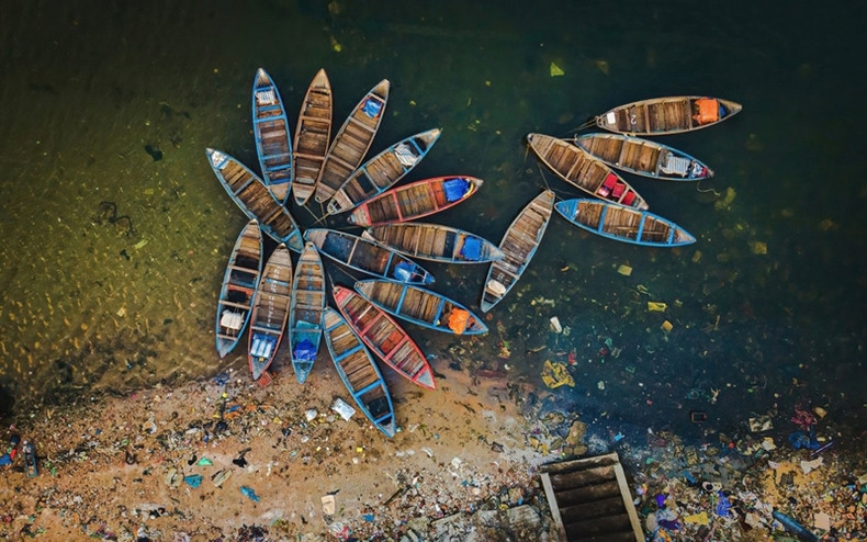 "Fleur de bateau dans la pollution", prise sur la plage de Tinh Ky, Quang Ngai. Photo : Alex Cao. "Fleur de bateau dans la pollution", prise sur la plage de Tinh Ky, Quang Ngai. Photo : Alex Cao.