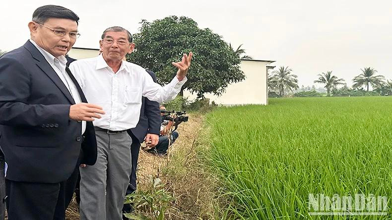 L'ingénieur Hô Quang Cua explique à la délégation laotienne le processus de production du riz ST25. Photo: NDEL.